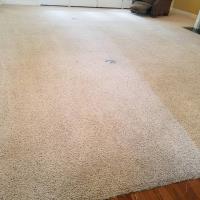 Bama's Best Carpet Cleaning image 4